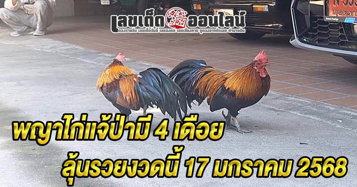 อัพเดทข่าวใหม่ล่าสุด!! พญาไก่แจ้ป่ามี 4 เดือย คอหวยแห่ส่องเลขเด็ด" ลุ้นรวยงวดนี้ 17 มกราคม 2568