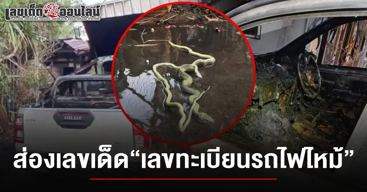 เปิดเลขทะเบียนรถ "กระบะไฟไหม้" ระทึกข้างกุฏิเจ้าอาวาส คลอกงูผัว-เมียตายคู่กัน