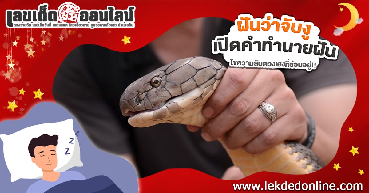 ฝันจับงู-"Dream of catching a snake"