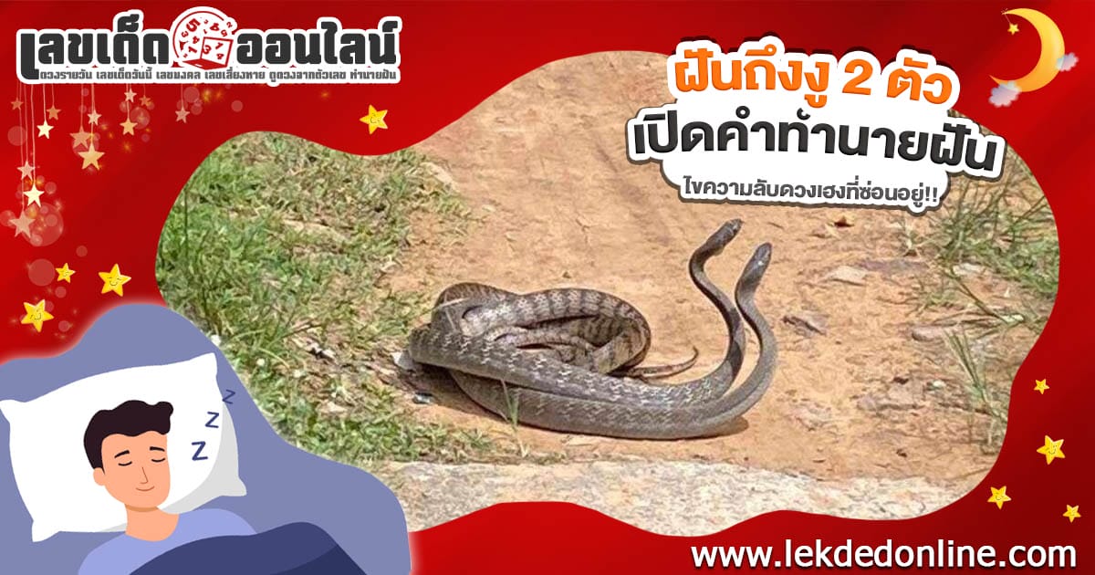 ฝันถึงงู2ตัว-"Dreaming of 2 snakes"