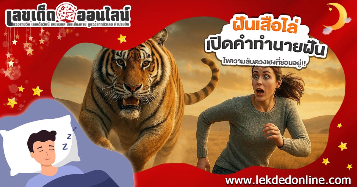 เปิดคำทำนาย ฝันเสือไล่ ทำนายว่าอย่างไร? พร้อมเลขเด็ด แม่นๆ ที่เกี่ยวกับความฝันเเม่นๆ เช็กเลย !