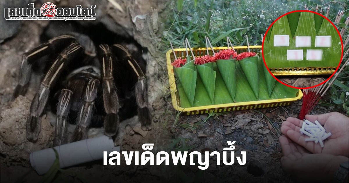 คอหวยตาลุกส่อง เลขเด็ดพญาบึ้ง 1/6/68 พาลูกคีบเลขเด็ดวางปากรู สุดฮือฮามาให้โชค!