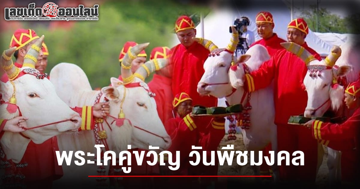 เลขเด็ดพระโค 16/5/68 เสี่ยงทายวันพืชมงคล 2568 เลขอายุมงคล-ส่วนสูงน่าจับตา! เสี่ยงโชคลุ้นรวย