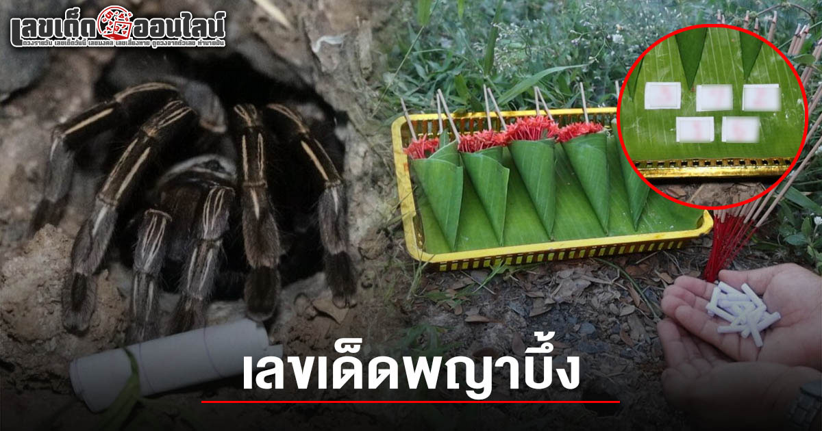 เลขเด็ดพญาบึ้ง 1/6/68-"Famous lottery numbers"