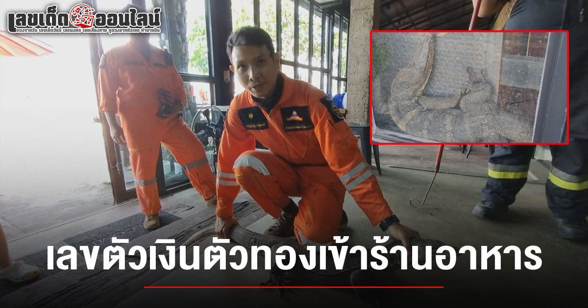 คอหวยแห่ส่อง !! เลขตัวเงินตัวทองเข้าร้านอาหาร 1/6/68 พนักงานร้านไม่กลัว ขอลูบหางเผื่อจะมีโชคก่อนนำไปปล่อย