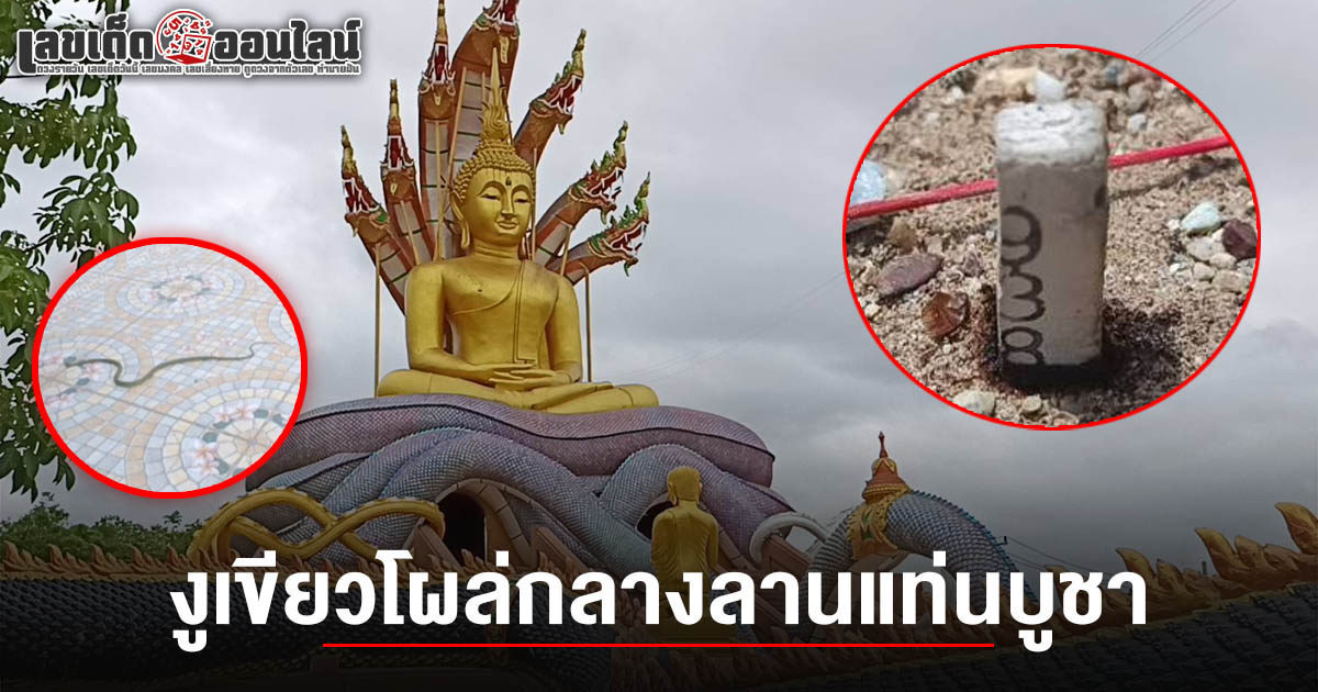 ฮือฮา! งูเขียวโผล่กลางลาน ขณะจุดธูปเสี่ยงโชค ได้เลข 3 ตัวตรงได้ เลขเด็ดพระปางนาคปรก 1/6/68 ลุ้นรวยงวดนี้