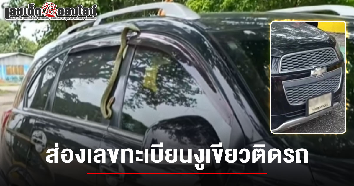ส่องเลขเด็ด เลขทะเบียนงูเขียวติดรถ 16/7/68 เจอประตูรถหนีบในวันเข้าพรรษา คอหวยไม่พลาดลุ้นโชค!