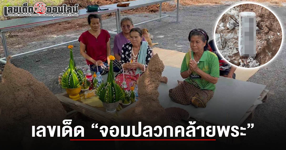 ฮือฮาทั้งโซเชียล! จอมปลวกคล้ายพระนั่งสมาธิ คนดวงเฮงแห่แก้บน-ตั้งโรงทาน ส่องเลขเด็ด เลขจอมปลวก 1/8/68 ลุ้นโชค!