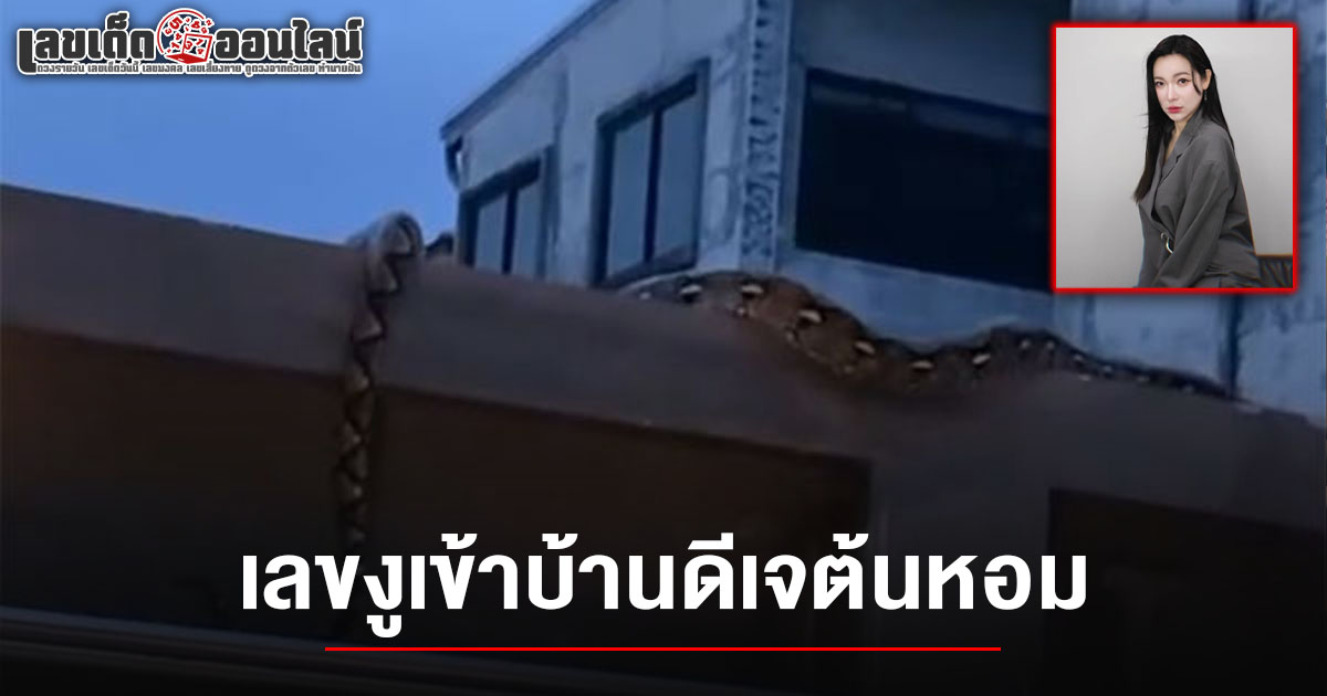 ฮือฮา! “ดีเจต้นหอม สุดช็อก งูตัวใหญ่เลื้อยเข้าบ้านชาวบ้านแห่ตีเลขเด็ด เลขงูเข้าบ้านดีเจต้นหอม 16/7/68 คอหวยลุ้นกันสนั่น!