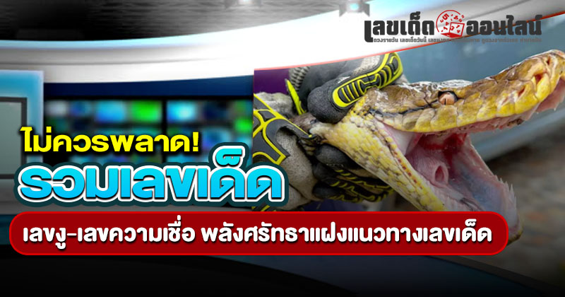 รวมเลขเด็ดหวยดัง 161168-"Collection of famous lottery numbers 161168"