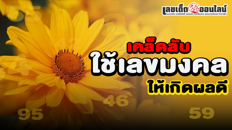 รูปภาพเคล็ดลับใช้เลขมงคลของ lekdedonline